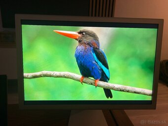 23-palcovy Apple Cinema HD Display. - 2