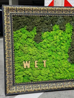 Machovy obraz WET - 2