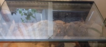 Predám Terárium-Akvárium - 2