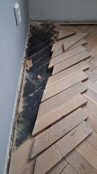 Kupim dubove parkety cca cca 40m2 - 2