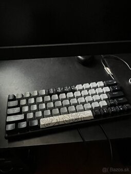 White shark - 2