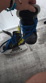 CCM 11 - 2