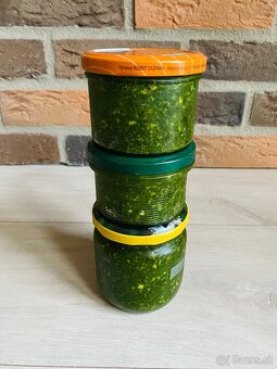 Pesto MEDVEDÍ CESNAK 2025 - 2