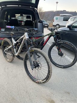 Bergamont Contrail Elite M Karbón - 2