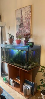200 litrové akvárium + komplet zariadené s rybickami - 2