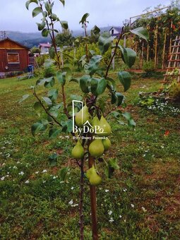 Pozemok na výstavbu rodinného domu, Narcisova ul., Nitra - Z - 2