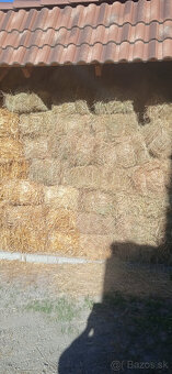 Seno male baliky - 2