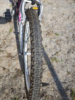 Kenzel 24 SM - 2