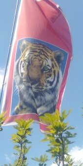 Zástava , vlajka Tigra - 2