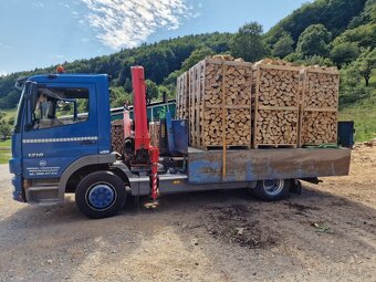 SUCHÉ PALIVOVÉ DREVO - 2