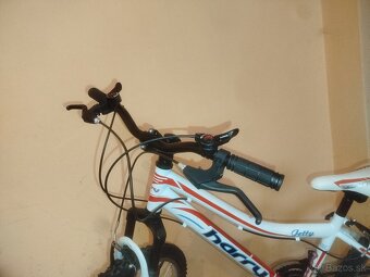 Bicykel 24 Harry jetty - 2