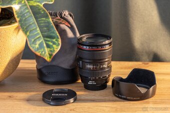 Canon EF 24-105mm f/4 L IS USM - 2