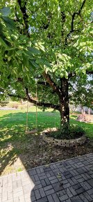 Nadštandardný dom s BAZÉNOM Zlaté Moravce - 2