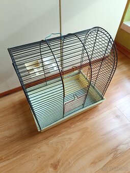 Klientka pre vtáky - 2