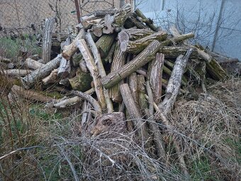 Palivové drevo - 2