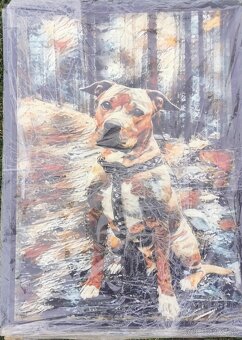 Plechové obrazy dog monenst - 2
