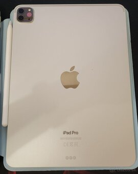 Ipad Pro 11' 4 gen M2 256 GB - 2