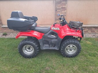 Suzuki Eiger 400 - 2