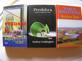 Willetová ; Coddington; Kraftová ; Vasilková; Andrews .... - 2