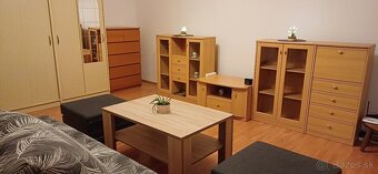 Prenájom 1.izbový byt na sídlisku SNP - 2