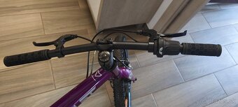 Detský dievčenský bicykel Amulet 20 - 2