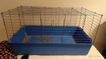 Klietka darujem - 2