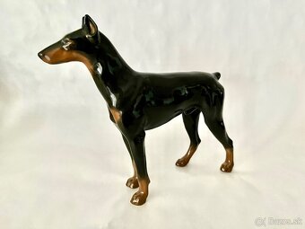 Porcelanovy pes - doberman Rosenthal - 2