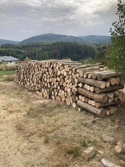 Palivové drevo - 2