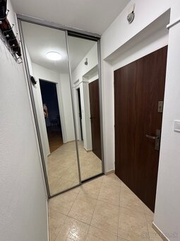 1izbový byt na prenájom - 2