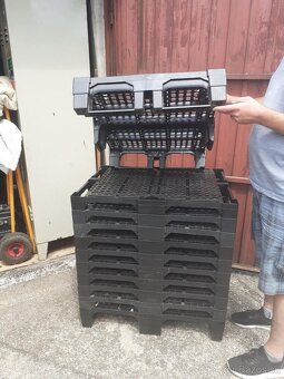 Predam plastove palety 80x60 cm, - 2