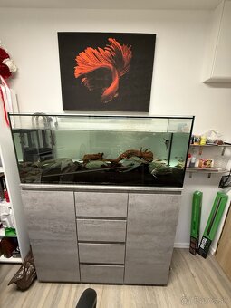 300L akvárium so skrinkou, technikou, rybičkami a dekoracie - 2