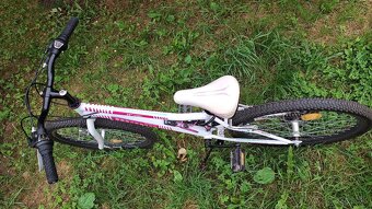 Bicykel Mayo '24 dievčenský - 2