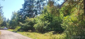 🌲 Pozemok na predaj – Zlatnícka dolina 🌲 - 2