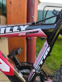bicykle CTM - 2