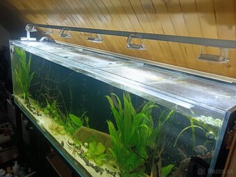 Svetelná led rampa - 2