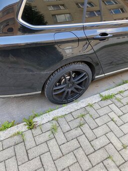 Barracuda shoxx R19 - 2