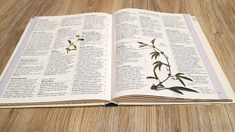 Encyklopédia homeopatie - 2