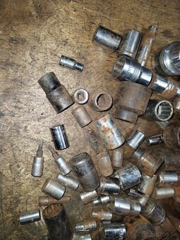 Gola sada orechy - 2