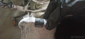 detské značkové korčule - 2