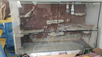 Terarium - 2