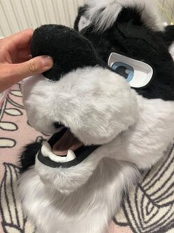 Fursuit - 2