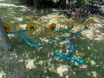 slniečkova hrabačka - 2