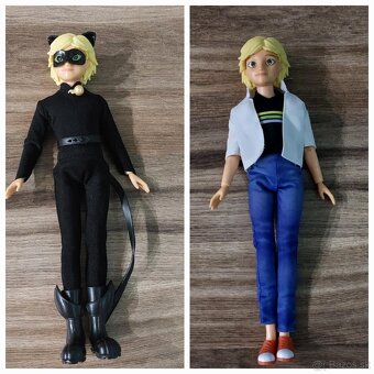 Beruška a Černý kocour - 2