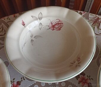 Hrubostenné taniere Ditmar- urbach - 2