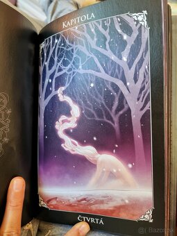 Poslední jednorožec (Peter S. Beagle) - 2