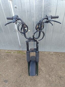 Predok manet Korado - 2