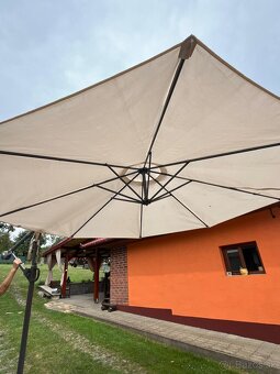 Slnečník - 2