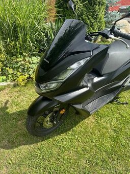 Honda pcx 125 8/2024 1300km - 2