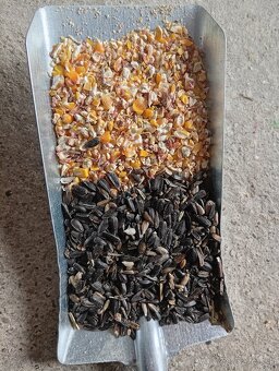 Mix zmes kukurica+slnecnica - 2