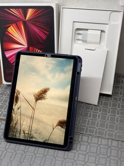 iPad Pro 11"  - M1 | Wi-Fi  + Kryt Epico - 2
